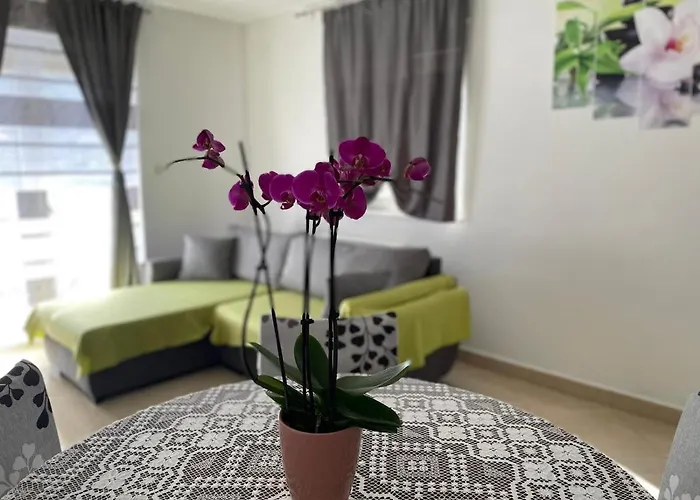 Apartman Santa Marija *